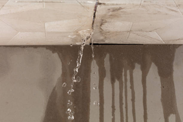 Professional Water Damage Repair technician working in Muldoon, TX